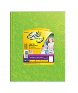 CUADERNO EXITO E3 FORR UNIV T/D 19x24 VERDE MAN 100hj. RAY -100  