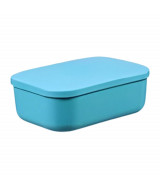 CAJA ORGANIZADORA 3L COLOR C/TAPA 26x18x8 - 701  