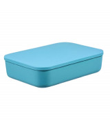 CAJA ORGANIZADORA 6L COLOR C/TAPA 36x26x8 - 701  