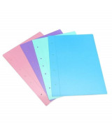 CARPETA FORRADA PVC A4 2 TAPAS SURTIDO PASTEL - ZDA  