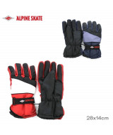 GUANTES ALPINE SKATE MOTO 28x14cm - 16  