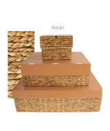 CAJA ORGANIZADORA KIT FLEXIBOX  8 EN 1 RATÁN CON TAPA 1x 51X40CM / 1x 39X32CM /6x 18X1  